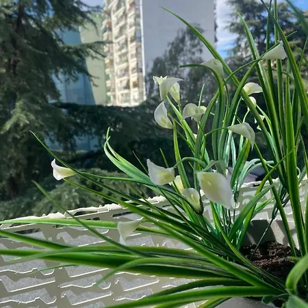 Jonexh Apartmán Tirana