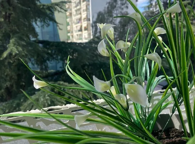 Jonexh Apartament Tirana